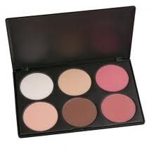 Paleta de 6 Blush